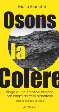 osons la colère (ebook)-eric la blanche-9782330207113