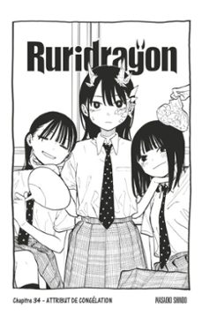 -masaoki shindo-9782331088513