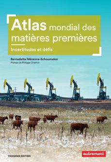 -bernadette mérenne-schoumaker-9782746756113