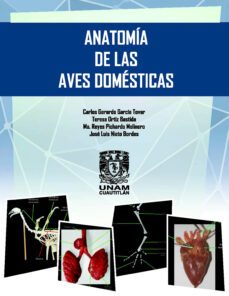 anatomia de las aves domesticas (ebook)-carlos gerardo garcía tovar-teresa ortiz bastida-ma. reyes pichardo molinero-9786073059213