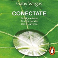 conectate (audiolibro)-elsa gabriela vargas guajardo-9786073187213