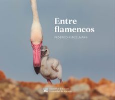 entre flamencos-federico kenzelmann area-9788413023113