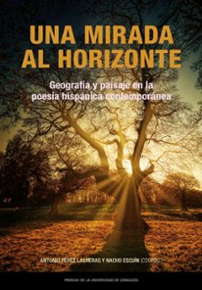 una mirada al horizonte. geografia y paisaje en la poesia hispanica contemporanea (ebook)-antonio perez lasheras-nacho escuin-9788413409313