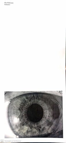 aleix plademunt-aleix plademunt-9788445139813