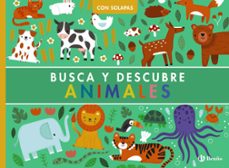 busca y descubre. animales-rebecca weerasekera-9788469643013