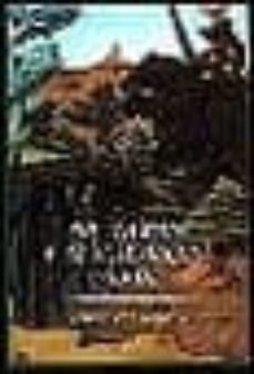 sir gawain y el caballero verde (anonimo ingles del s. xiv)-9788485876013