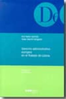 derecho administrativo europeo en el tratado de lisboa-9788497687713