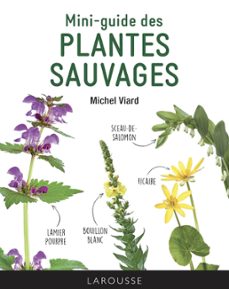 -michel viard-9782035983923