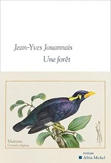 une forêt-jean yves jouannais-9782226499523