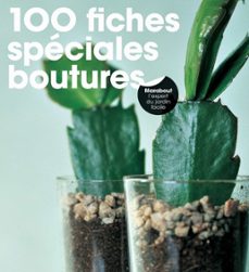 100 fiches speciales boutures (ebook)-andrew mikolajski-9782501143523
