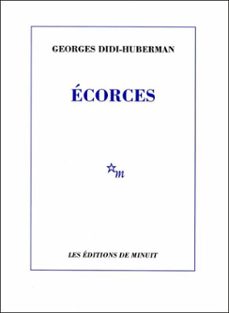 -georges didi huberman-9782707324023