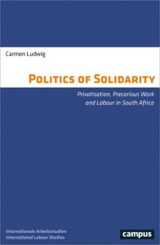 the politics of solidarity (ebook)-carmen ludwig-9783593441023