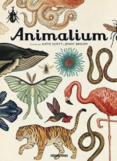 animalium-katie y broom, jenny scott-9786077357223