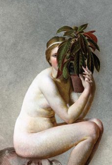 correio literario (ebook)-wisława szymborska-9786559980123