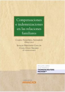 compensaciones e indemnizaciones en las relaciones familiares-camino sanciñena asurmendi-9788413900223