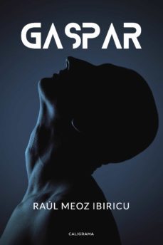 (i.b.d.) gaspar-raul meoz ibiricu-9788417426323