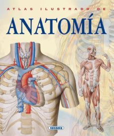 anatomia (ebook)-adriana rigutti-9788467721423