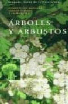 -concepcion morales-carmen quesada ochoa-9788478073023