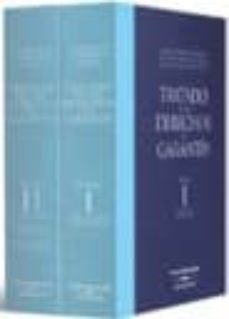 tratado derechos de garantia (2 vol.) (2ª ed.)-angel carrasco perera-9788483559123