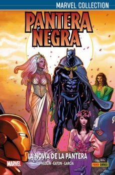 pantera negra de hudlin 2 la novia de la pantera-9788491679523