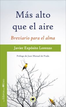 mas alto que el aire-javier exposito lorenzo-9788494170423