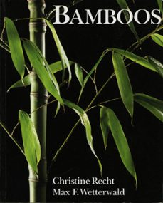 bamboos (ebook)-christine recht-max felix wetterwald-9781849942133