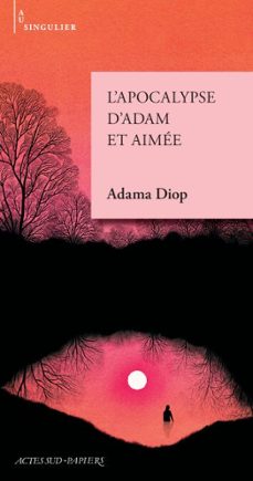 l'apocalypse d'adam et aimee (ebook)-adama diop-9782330218133