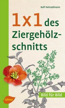 1 x 1 des ziergeholzschnitts (ebook)-9783800109333