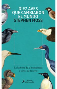 -stephen moss-9786287744233