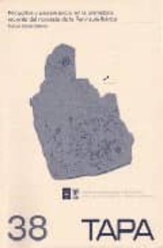 petroglifos y paisaje social en la prehistoria reciente del noroe ste de la peninsula iberica-manuel santos estevez-9788400087333