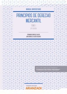 principios de derecho mercantil (tomo i)-9788413089133
