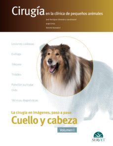 cirugia en la clinica de pequeños animales. cuello y cabeza. vol. i-9788417225933
