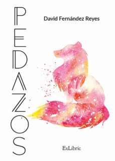 pedazos (ebook)-david fernandez reyes-9788418230233