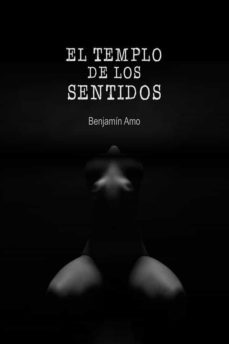 el templo de los sentidos (ebook)-benjamin amo-9788461293933