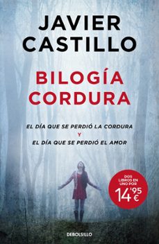 amor y cordura (el dia que se perdio la cordura; el dia que se perdio el amor)-javier castillo-9788466382533