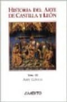 arte gotico-jose maria martinez frias-julia ara gil-isabel mateo gomez-9788481830033