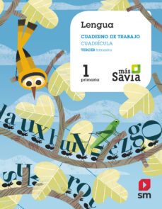 lengua 1º educacion primaria cuaderno 1 pauta mas savia cast-9788491077633