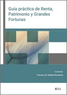 guia practica de renta, patrimonio y grandes fortunas-9788499549033
