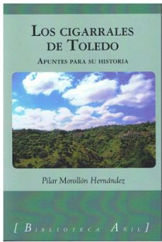 cigarrales de toledo (ebook)-pilar morollón hernández-9791387661533