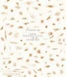 vitamin d2, new perspectives in drawing-9780714876443