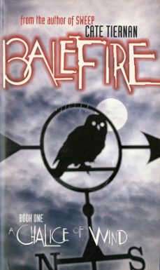 a chalice of wind @1 (ebook)-cate tiernan-9781101119143