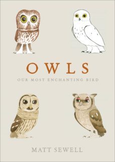 owls (ebook)-matt sewell-9781473503243