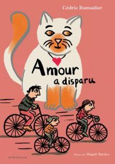 amour a disparu (ebook)-cedric ramadier-9782330159443