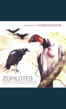 zopilotes (ebook)-paula enriquez rocha-julio coutiño molina-sophie calme-9786078429943