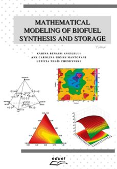 mathematical modeling of biofuel synthesis and storage (ebook)-9786589814443