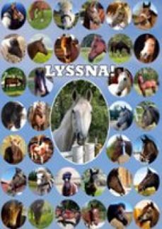 lyssna! (ebook)-9789152797143