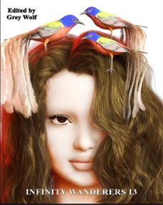 infinity wanderers 13 (ebook)-grey wolf-9798231689743