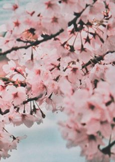 (ebook)-guilherme ferreira bicaio da silva-3410003915053