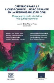 criterios para la liquidacion del lucro cesante en la responsabilidad civil (ebook)-andrés orión álvarez pérez-4099995590753