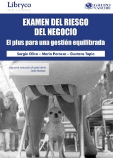 examen del riesgo del negocio: el plus para una gestion equilibrada (ebook)-sergio olivo-4099995622553